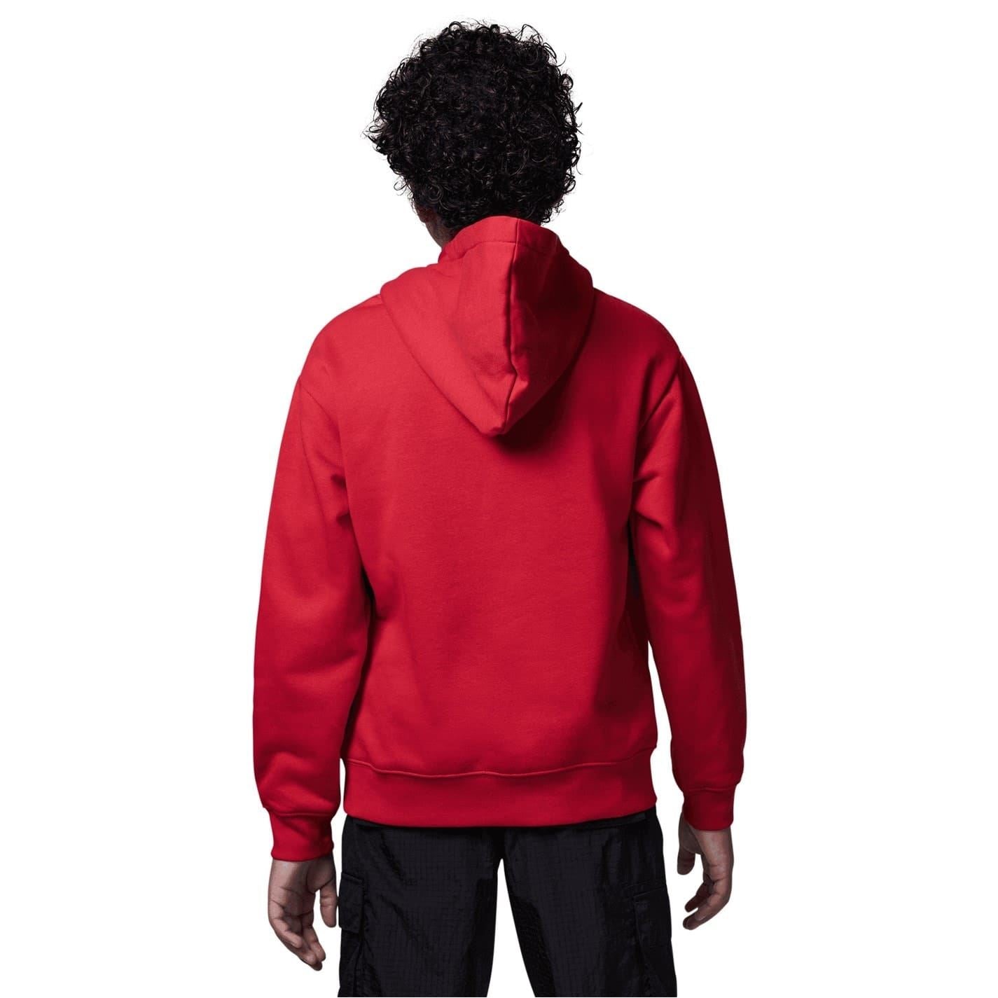 Air Jordan Hooded Regular Fit Sweatshirt