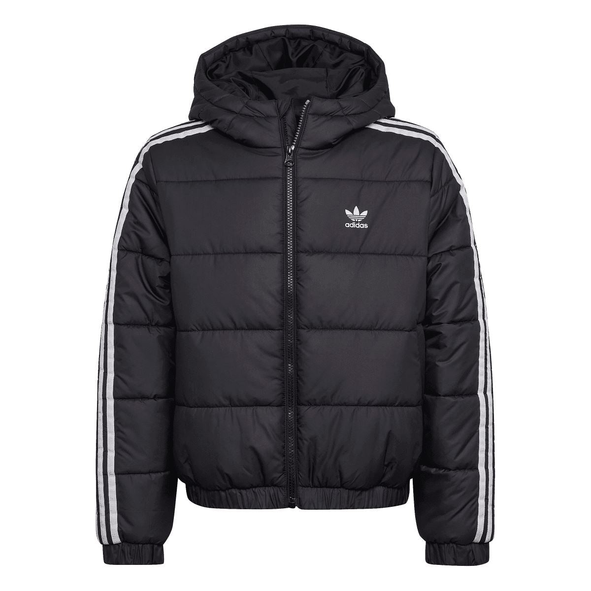 adidas Junior Padded Jacket