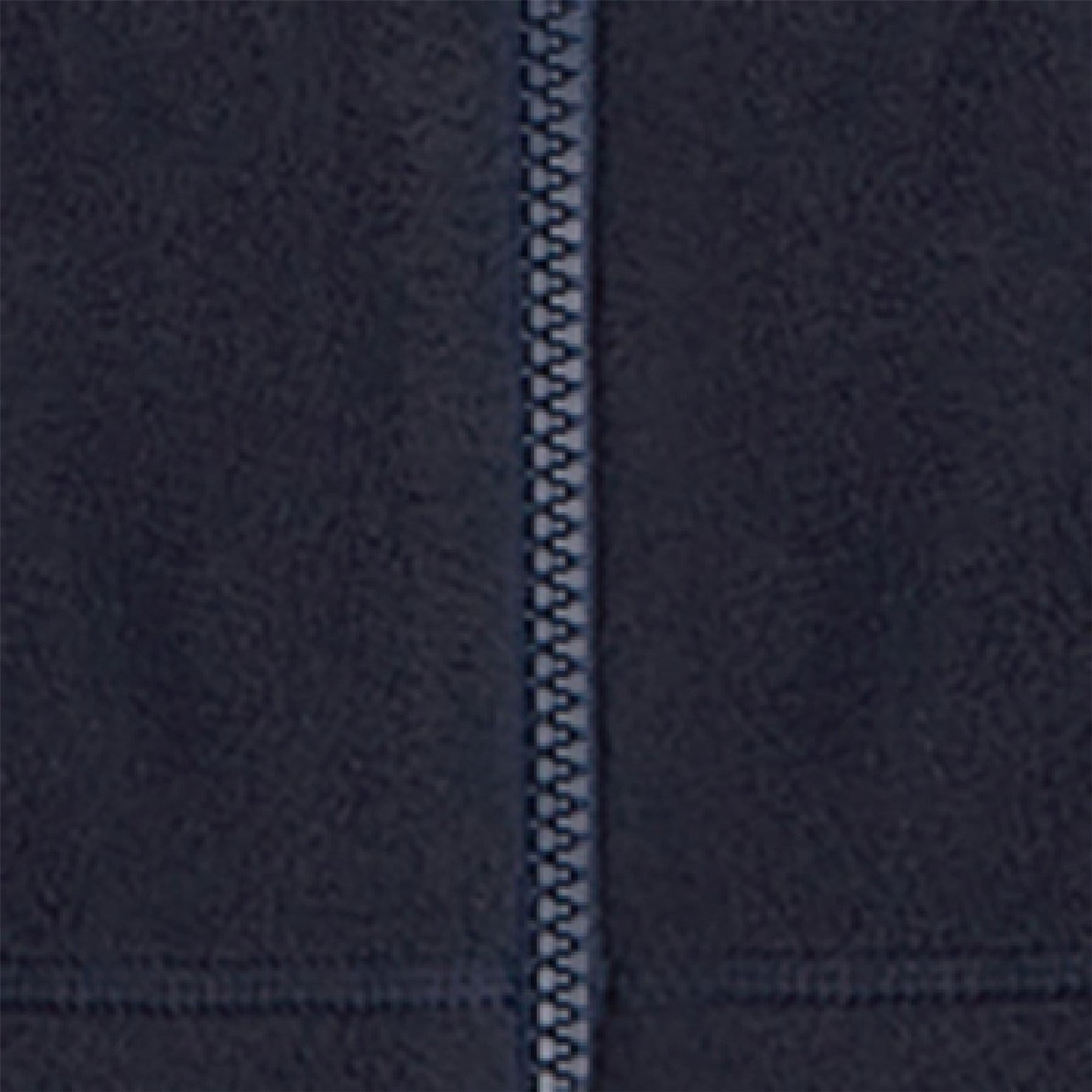 Berghaus Prism 2.0 Micro InterActive Fleece