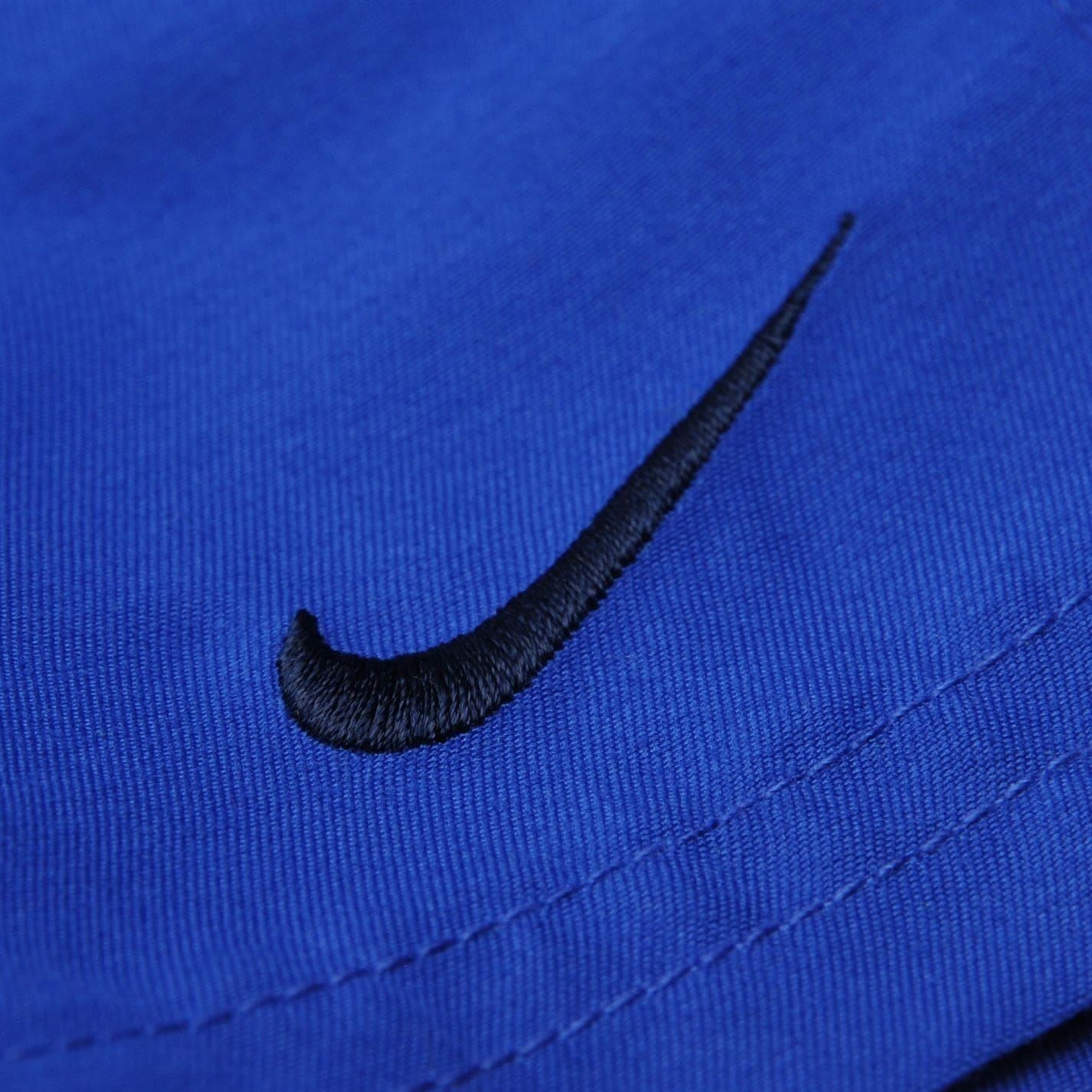 Nike Mens Core Swim Shorts