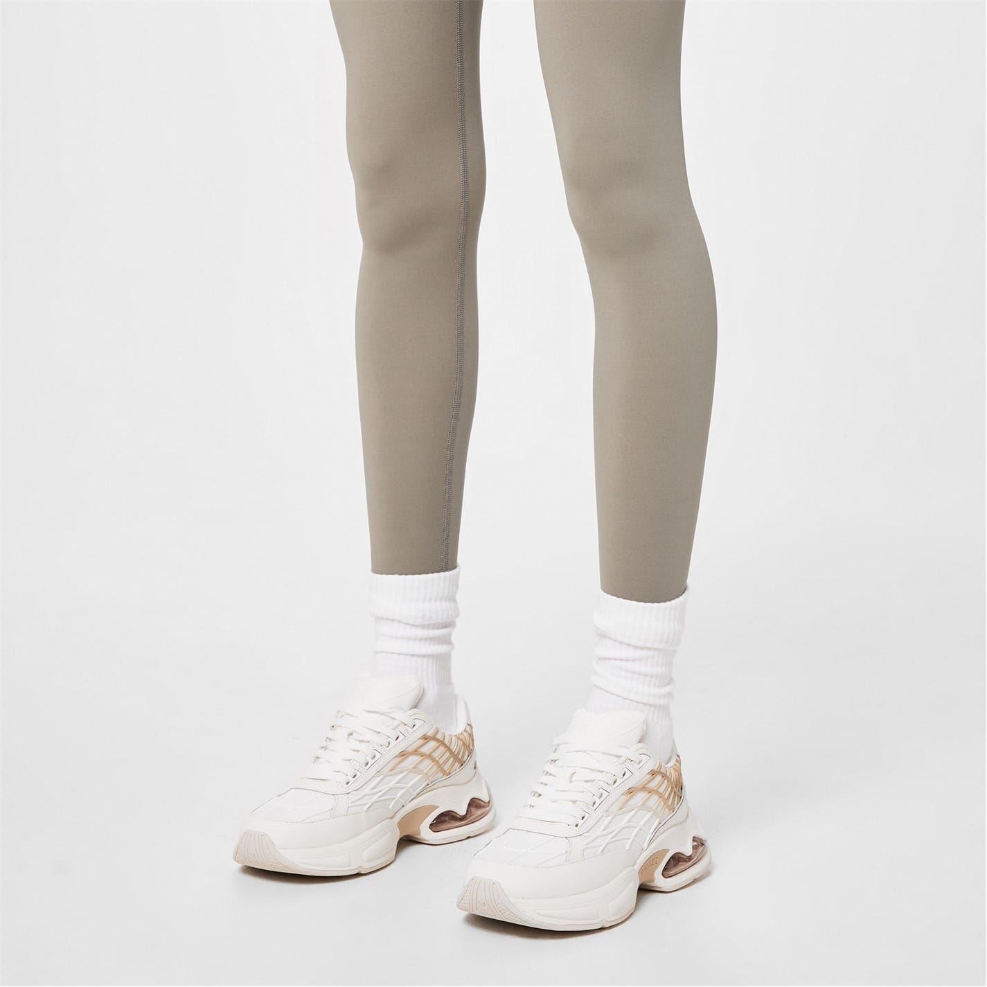 Mallet Neptune Trainer