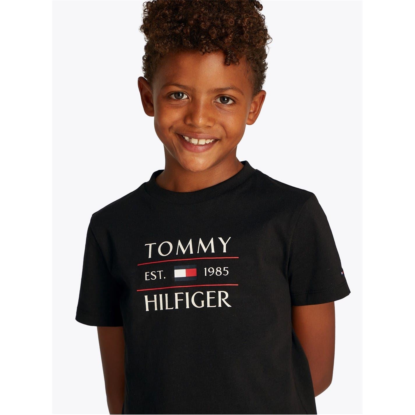 Tommy Hilfiger Flag Regular Fit Short Sleeve T-Shirt
