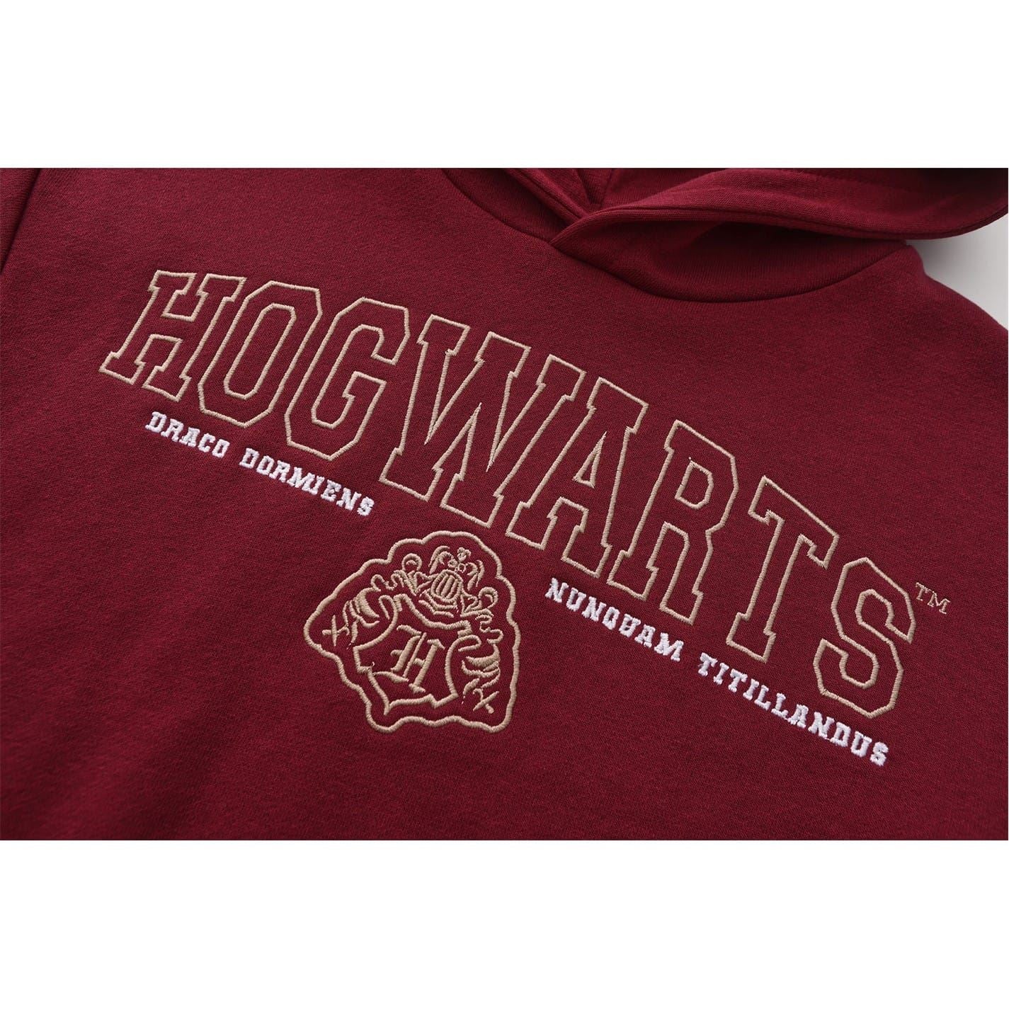 Character Fleece Lined Hoodie For Boys