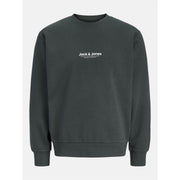 Jack and Jones Crw Neck Sweat
