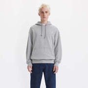 Levis Relaxed Graphic Hoody