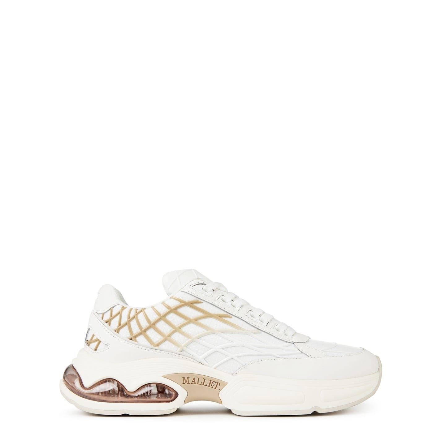 Mallet Neptune Trainer