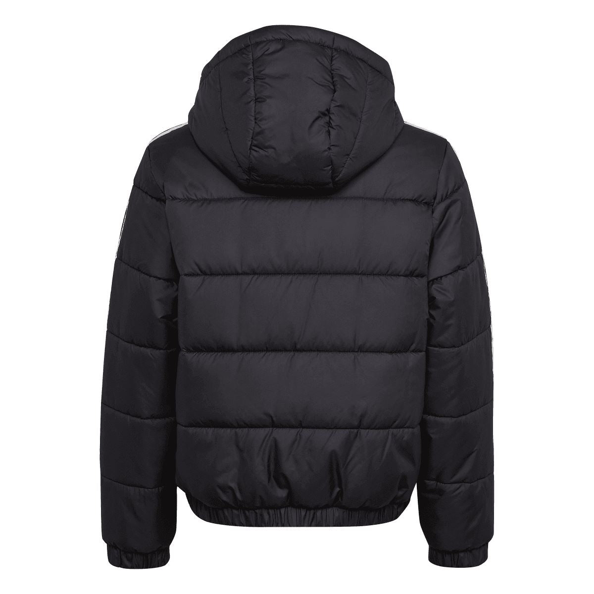 adidas Junior Padded Jacket
