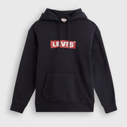 Levis Rlxd Grphc Hoody