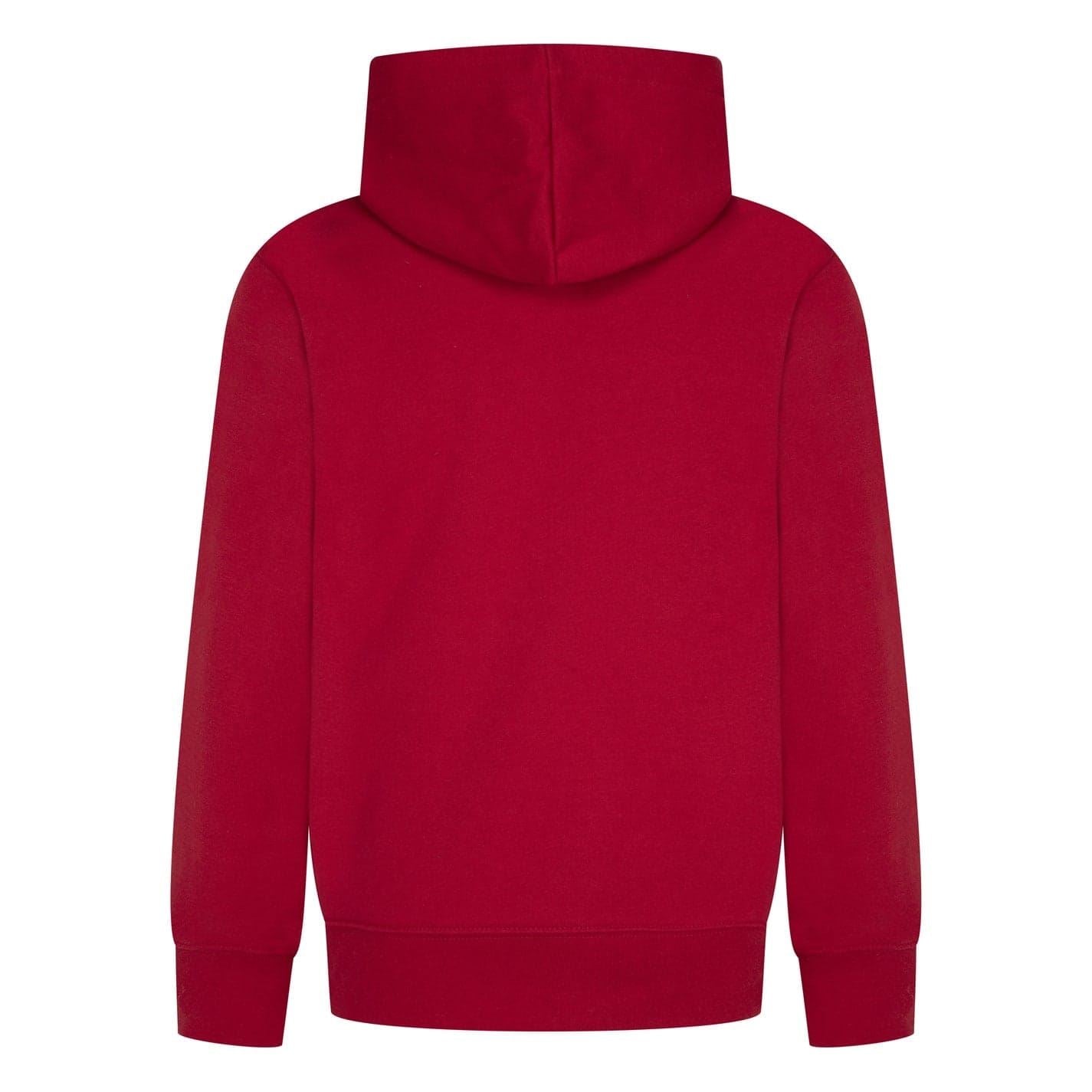 Air Jordan Hooded Regular Fit Sweatshirt