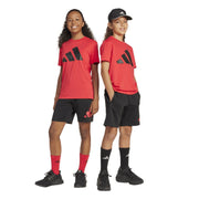 adidas Junior Essentials T-Shirt Set