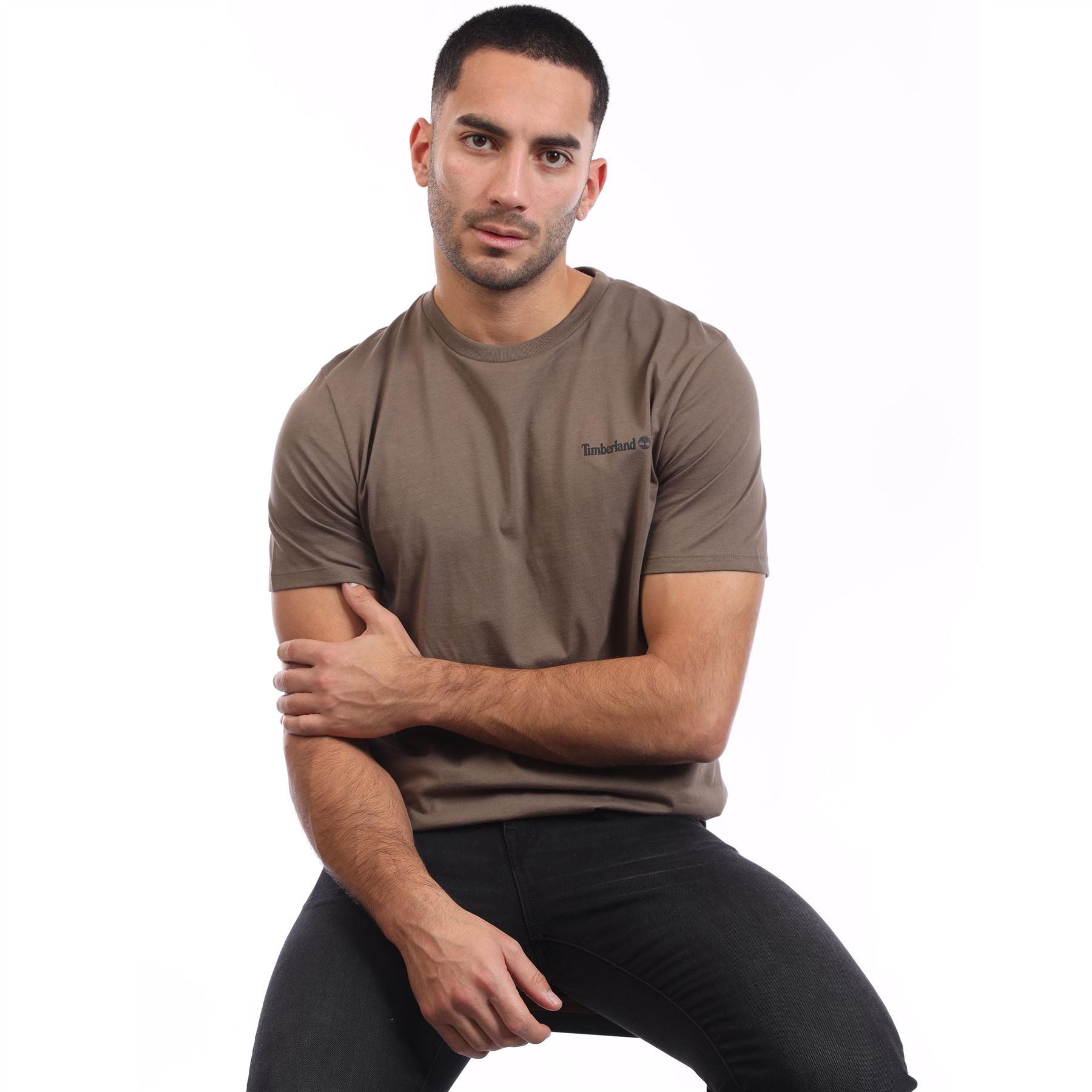 Timberland Small Linear Logo Print T-Shirt