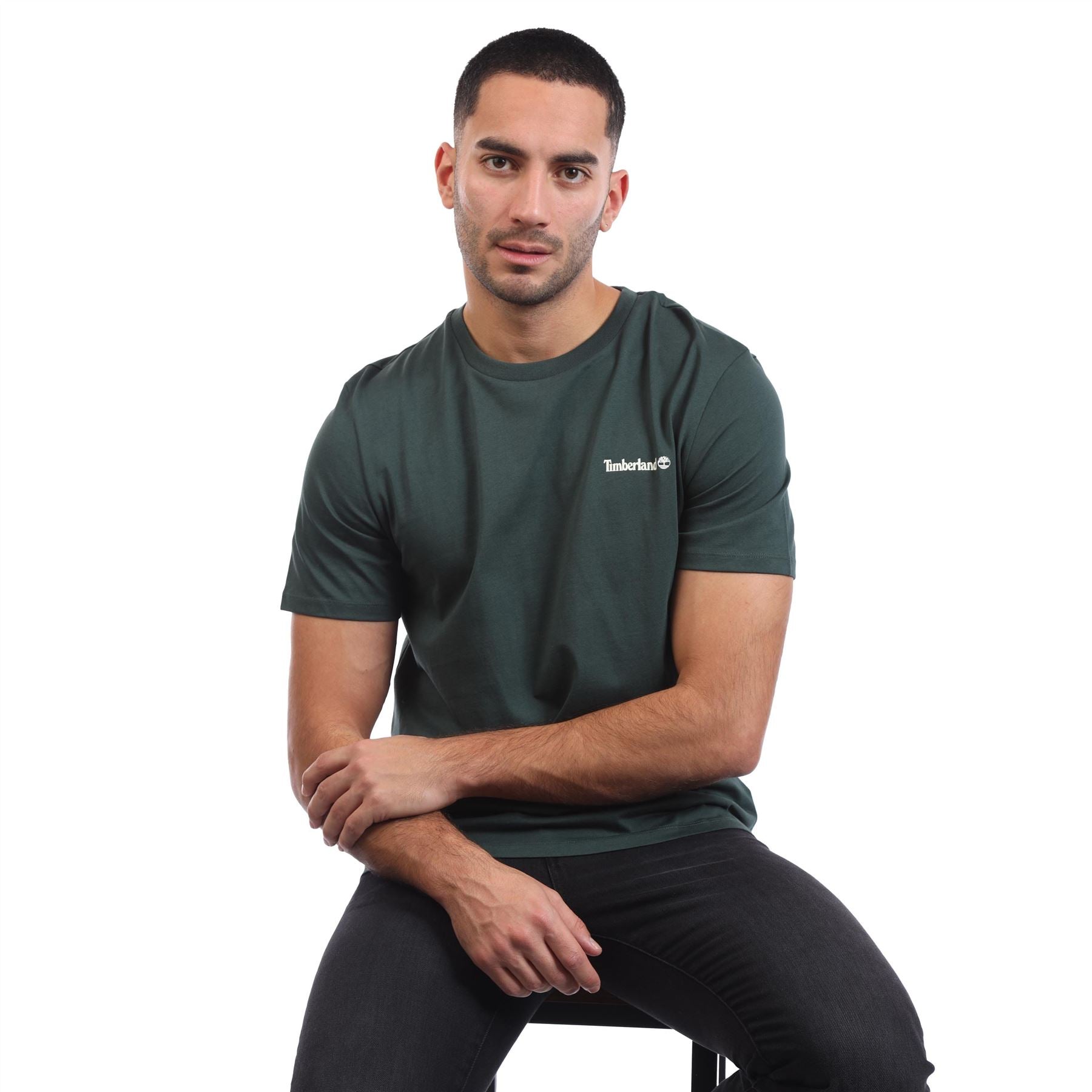 Timberland Small Linear Logo Print T-Shirt