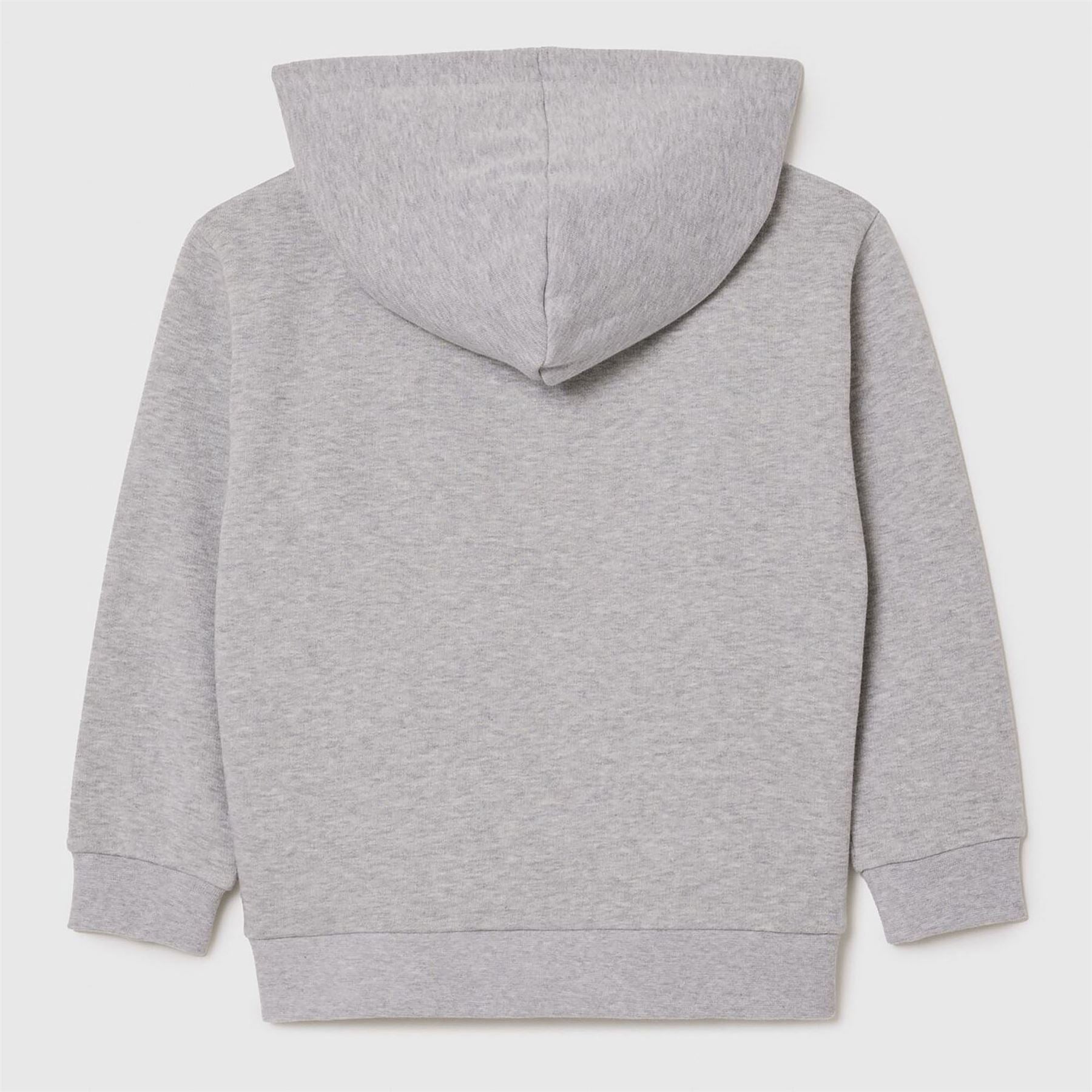 Lacoste Juniors Hoodie