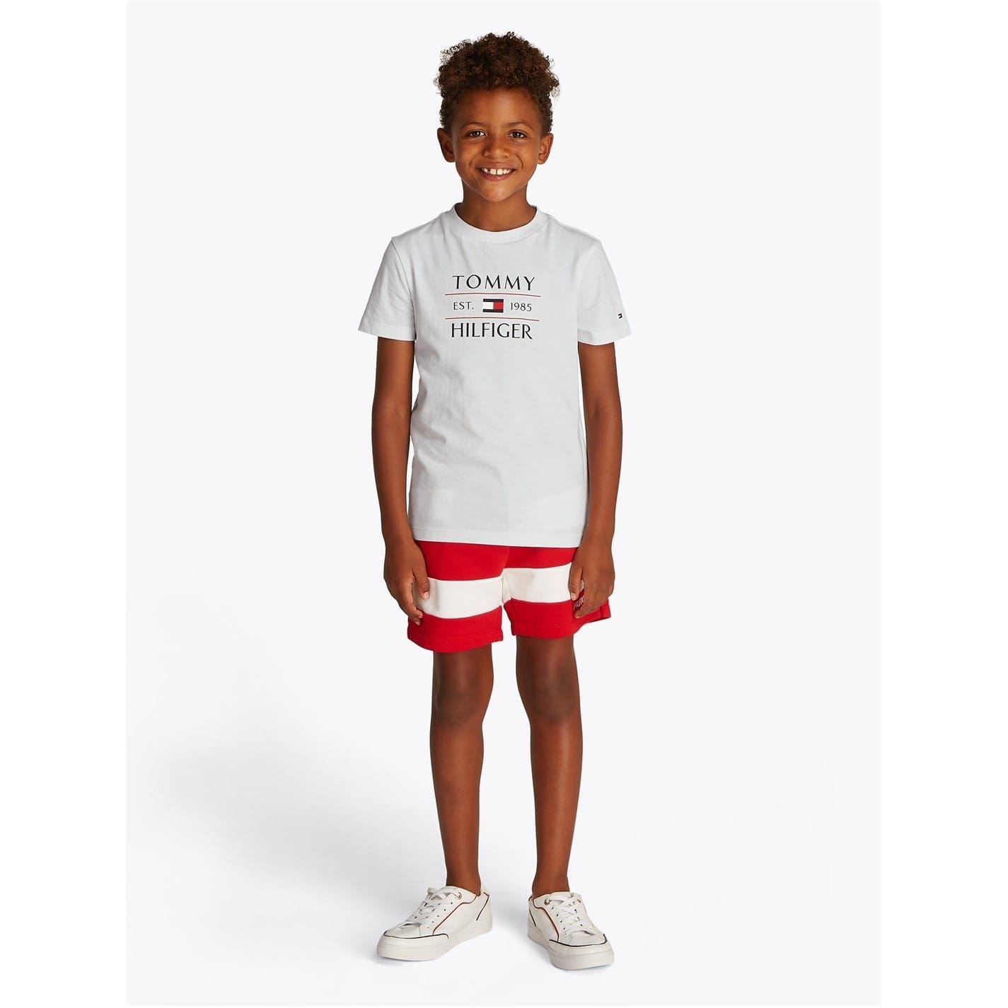 Tommy Hilfiger Flag Regular Fit Short Sleeve T-Shirt