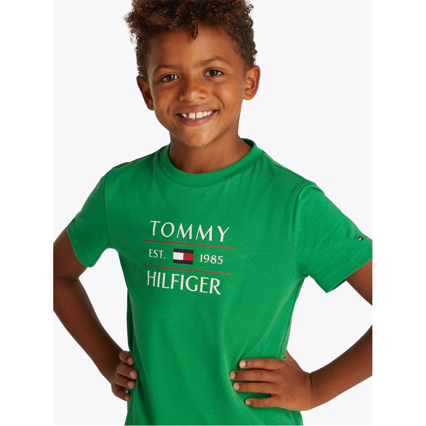 Tommy Hilfiger Flag Regular Fit Short Sleeve T-Shirt